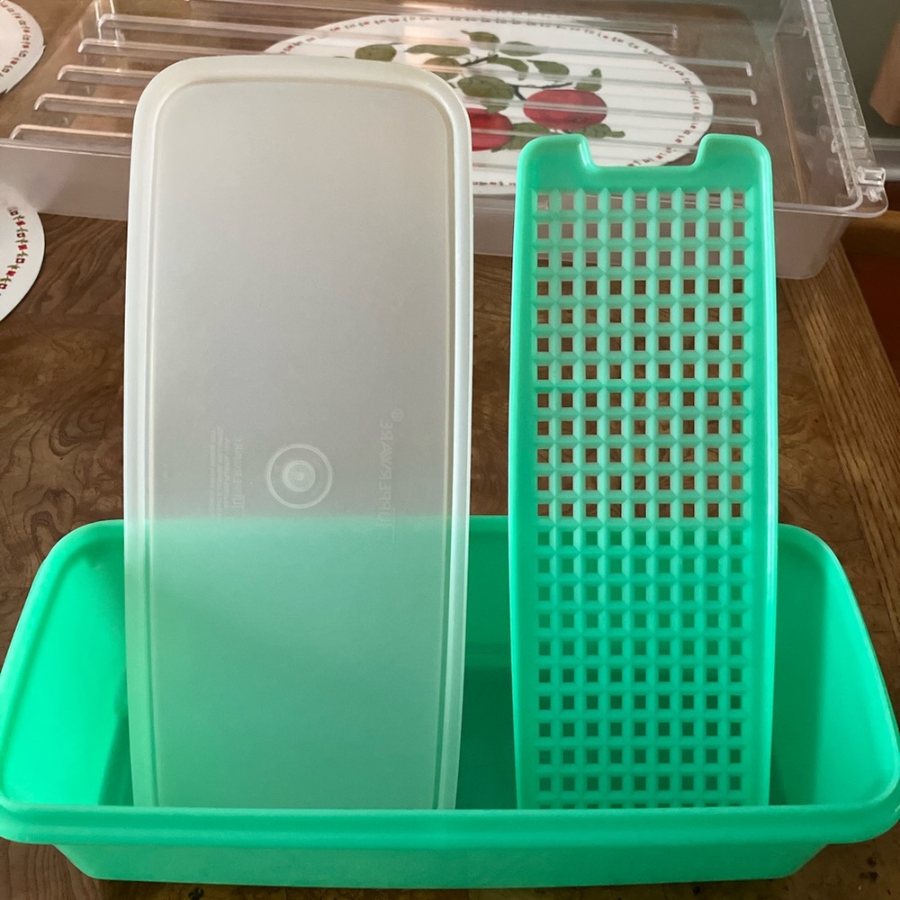 Green and Clear Storage Container Set
